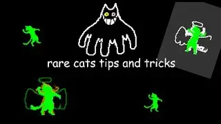 rare cats tips and tricks for going pro