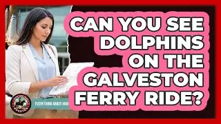 Can You See Dolphins On The Galveston Ferry Ride? - Everything About Houston