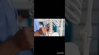 iron se bhi strong cheez body me hai 🤯😱.   shorts video#facts science #biology gk #official