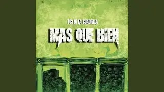 Mas Que Bien
