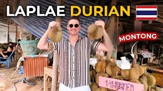 MY FIRST DURIAN IN THAILAND 🇹🇭