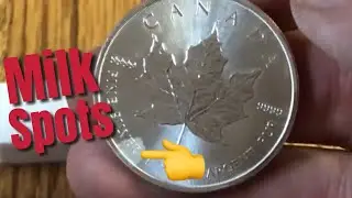 Milk Spots on Silver Coins - THIS is Why!