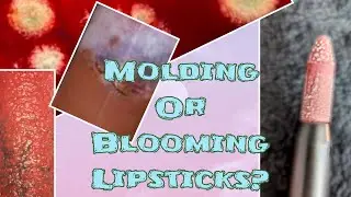 #molding #blooming How to tell the difference between Mold or Blooming Lipstick