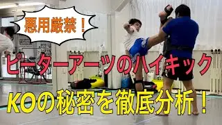 【悪用厳禁！】ピーターアーツの見えないハイキックの秘密を徹底分析！~2つのKOパターンを紹介~
