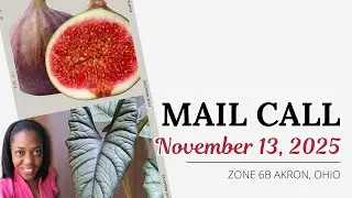 Mail Call | @GtJrGrowsItAlaska | Plant Haul