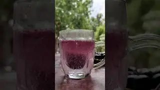 how to make jamun drink with sprite #trending #bhojpuri #song #song #summerdrink#shortsfeed