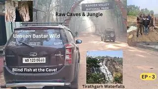 Kolkata to Jagdalpur EP 3 | Kanger Ghati National Park Safari, Kotumsar Cave & Tirathgarh Waterfalls
