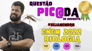 Questão mais difícil de Biologia do ENEM 2022 - Na figura aleatória está representado o mosaicismo