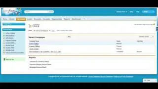 Salesforce Campaign Members and ROI Reporting