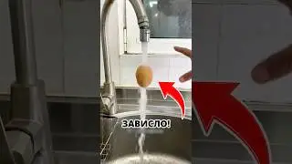 🤔 Яйцо зависает в Струе воды! Эффект..