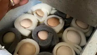 NOVIDADE NA NOSSA CRIA&Ccedil;&Atilde;O - Envio de Ovos F&eacute;rteis para todo BRASIL