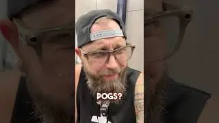 Are POGS BACK?