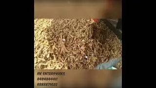 Tamarind machine-350kg/hr