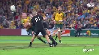 Foley still searching for missing rib cage
