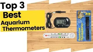 Best Aquarium Thermometers On Amazon in 2023