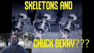 Chuck Berry Downbound Train Skeleton Animation REVIEWS AND REACTIONS