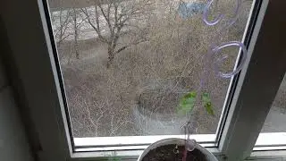 ЗАПОРОЖЬЕ БУДУТ ЗАБИРАТЬ ЖИЛЬЕ....16.02.26