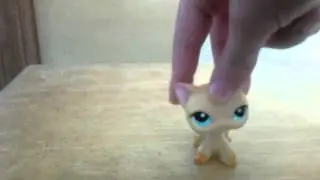 Google+random sqad with Jay Jay loves lps!!!