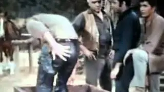 THE FUNNY CARTWRIGHTS.wmv