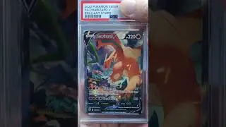PSA Grade Reveal: Charizard Alt Art! #pokemon #tcg #psagrading #pokemoninvesting