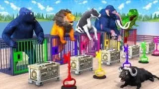 Mammoth Elephant Cow Tiger Choose The Right Key Challenge Game Animal Crossing Fountian With Gorilla