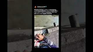 This Is Slingshot Fishing 🎯