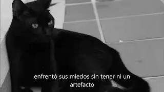 HACE PARTE DE VIVIR - JARA BTA