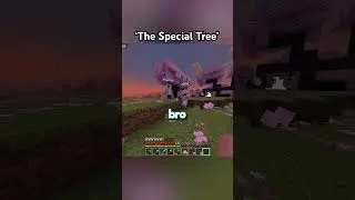 The Special Tree 🌴#minecraft #minecraftfunnymoments #minecraftsmp #funnymoments