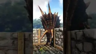 Taming TRICERATOPS COUPLE #arksurvivalevolved #arksurvival #ark#arkpc #dino #gameplay #gaming