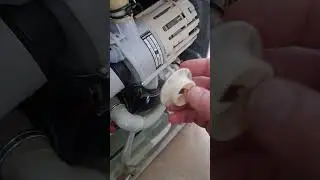 Miele  Sp&uuml;lmaschine F78 Umw&auml;lzpumpe ist blockiert durch diese Teil, Nach entfernen funktioniert gut
