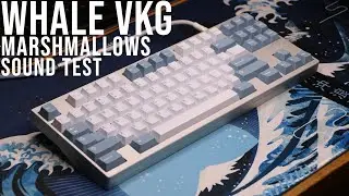 Lin Whale VKG - Marshmallows Sound Test