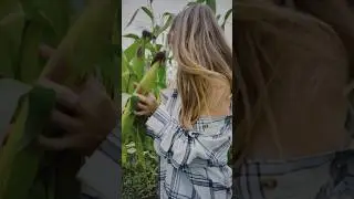 🌽 #travelaroundtheworld #кукурузныеполя #рф