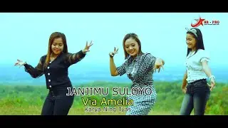 Via Amelia - Janjimu Suloyo