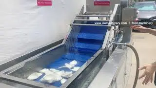 Coconut washing machinery