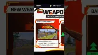 WINCHESTER NEW GUN ?