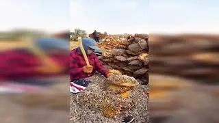Viral Video #1 | Online Entertainer