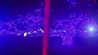 BIGGEST New Year Light Show 2026 Trivandrum Trending 