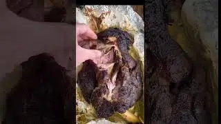 Wild Boar BBQ&hellip;.