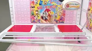 Toreba winning replay Surprise! Mini Pet #1 - Toreba Tips and Tricks