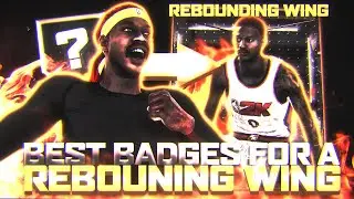 *NEW* BEST BADGES FOR A REBOUNDING WING IN NBA 2K20