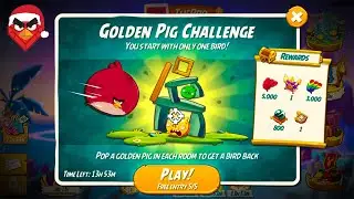 Golden Pig Challenge Unleashed! Epic Battle in Angry Birds 2!