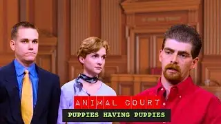 Animal Court: Puppies Having Puppies