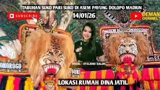 LIVE REYOK SINGO MUDO MANGGOLO DI ASEM PAYUNG DOLOPO MADIUN