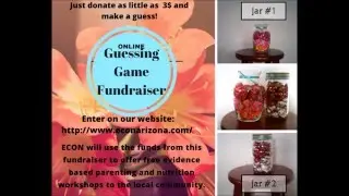 Online Candy Guessing Game Fundraiser