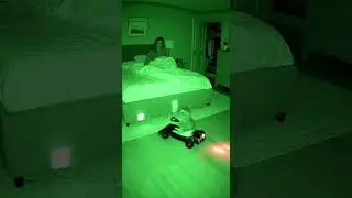 What happens if you buy a go-kart for your cat