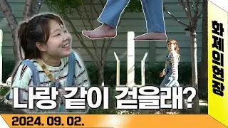 [라이브오늘_화제의현장] 대구의 걷기 좋은 길 | KBS대구 240902
