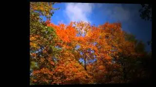 Cordova, TN Headache Pain Reduced With Chiropractic Care - Dr. Jeff Kowachik