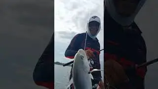 Mancing #spotmancingdibali #fishing #baliindonesia #fish #mancingmania #mancingmania