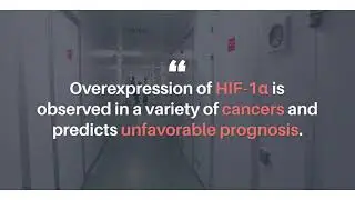 Oncotarget: Smurf2 Regulation of HIF-1&alpha; in Cancer Cells