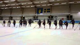 Djurg&aring;rden Dam efter grundseriesegern
